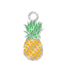 Pineapple Charm